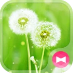 Logo of Dandelion android Application 